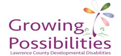 Lawrence County DD's Logo of a multicolored plant